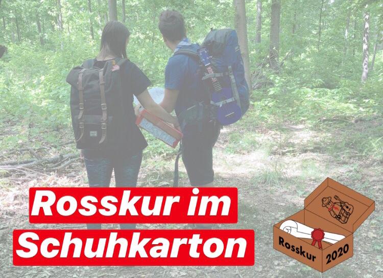 Rosskur im Schuhkarton